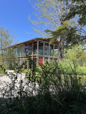 移築　木造　建築　木の家